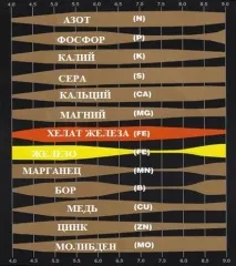 Знову ця гідропоніка готую розчин елементів
