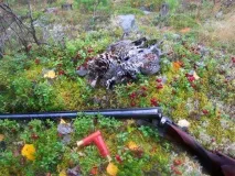 Полювання на рябчика - Традиції українського Полювання Дикуша традиції