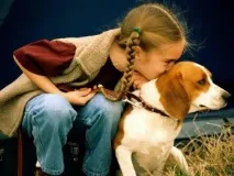 Секрети домашнього грумінгу. собаки