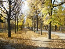 Парк Шенбрунн парк