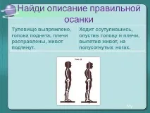 Чому постава виділяла лицаря презентація лицаря
