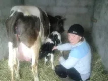 Підводне каміння у вирощуванні корови каміння
