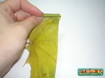 Вироби з кленового листя листя