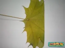 Вироби з кленового листя листя