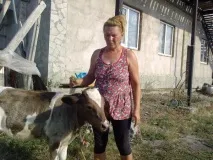 Підводне каміння у вирощуванні корови вирощуванні