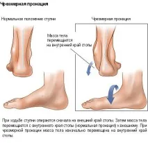 портал