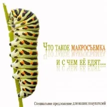 Правильна макрозйомка макрозйомка
