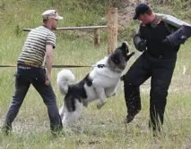 Протидія розшуку, Записки виживальника розшуку