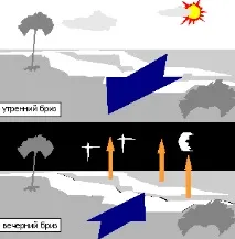Прогноз погоди - вітер та його властивості прогноз