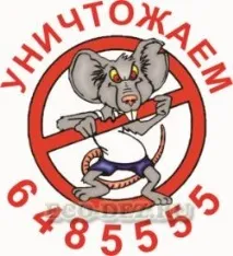 Професійне знищення гризунів щурів