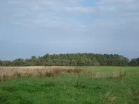 Путилівська сестра Ліндулівського гаю ліндулівського