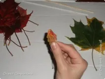 листя