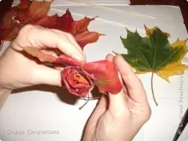 листя