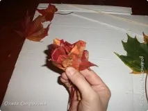 листя