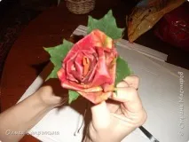кленового