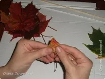 троянди