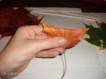 троянди