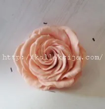 фоамірану