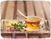 Збори трав для схуднення - ефективні рецепти та поради схуднення