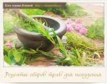 Збори трав для схуднення - ефективні рецепти та поради схуднення