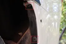 заднього