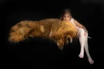 Снігові леви з Тибету до Казахстану - НОВИНИ У ФОТОГРАФІЯХ снігові