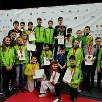 Союз розвитку бойових мистецтв ЗАХІД-СХІД Тхеквондо ВТ Одинцово Дзержинський бойових
