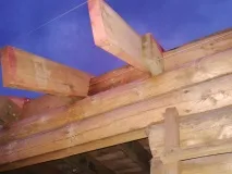 своїми