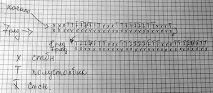 шапки
