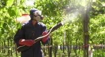 Тілт інструкція щодо застосування препарату з профілактичною та захисною дією тілт