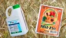 Тілт інструкція щодо застосування препарату з профілактичною та захисною дією щодо