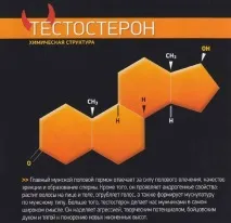тестостерону