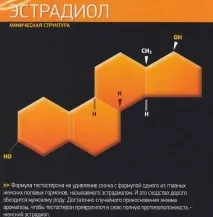 тестостерон