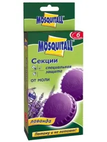 умовах