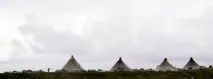 Тундра - НОВИНИ У ФОТОГРАФІЯХ тундра