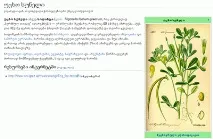 Уцхо-сунелі (пажитник блакитний) - що це таке пажитник
