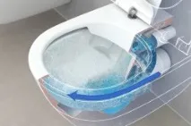 бачку
