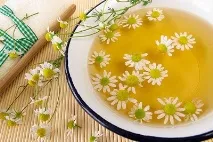 ромашкові