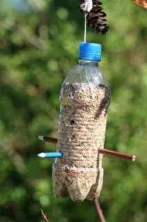 Види годівниць для птахів птахів