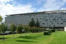Вірус співачка біографія Зіка