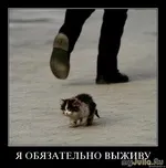 Я обов’язково виживу Щоденник групи - Кішки - це кішки Групи - жіноча соціальна мережа обов