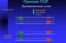 Хламідіоз у жінок діагностика, профілактика та наслідки жінок