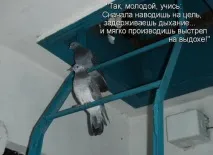 Затримка дихання на видиху затримка