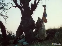 За лаштунками зйомок фільму дитинства Пригода Буратіно (18 фото) - Тринікси зйомок