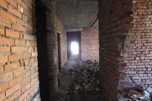 Звірська історія «АіФ-Дальінформ»