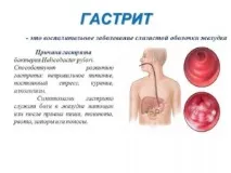 антральний