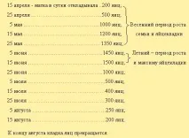 9. Яйцекладка бджолиної матки бджіл