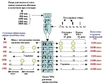 9. Яйцекладка бджолиної матки яйцекладка