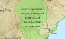 Біосферний Сихоте-Алінський заповідник в Україні україні