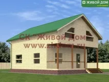 будинки